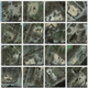 Satellite images of urban trees